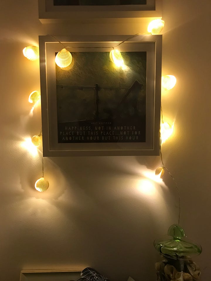 Four photographs of strings of lights - top left is shells surrounding a framed print on the wall, the second is a string of flamingo lights, the third is a string of grey foxes suspected over a large framed picture and the fourth is a string of lights over a window. All the images are in darkness apart from the small fairy lights lit from within.