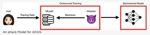 Keeping your Backdoor Secure in your Robust Machine Learning Model