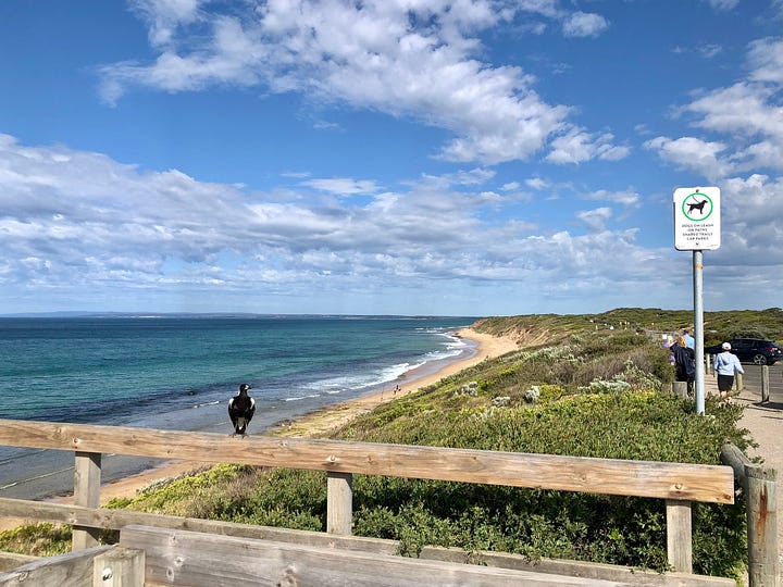 a man and a horse plus a beach scene