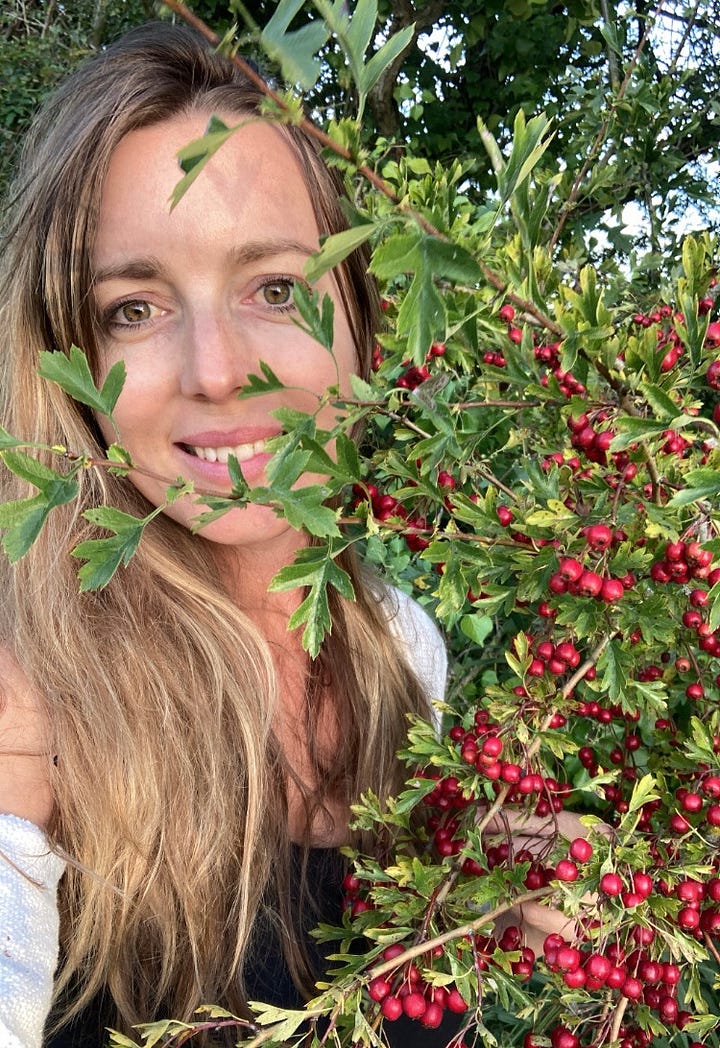 Spending time with Hawthorn during Autumn - Somerset Levels, UK