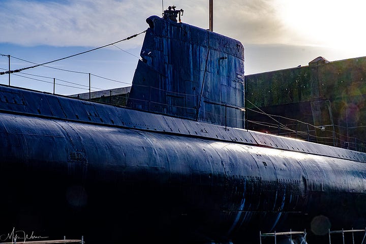 Flore submarine