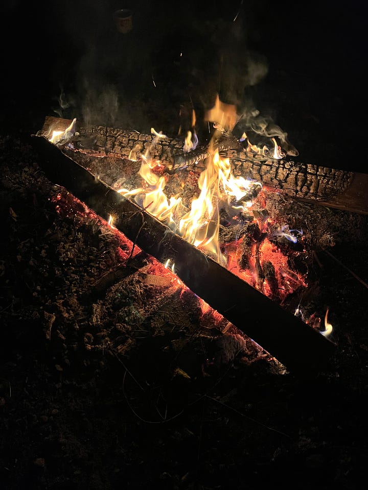 1. A very wonky sweet potato that looks like intestines, freshly dug up; 2. Washed sweet potatoes; 3. Sweet potatoes in foil just cooked in the fire; 4. Our roaring Samhain campfire.