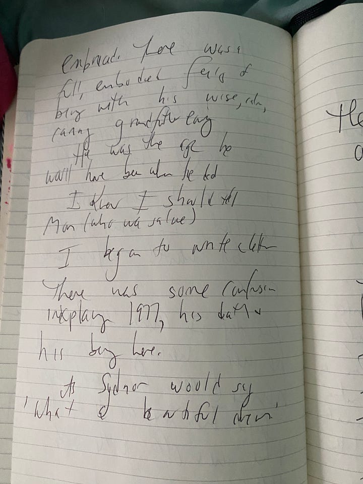 a dream journal scrawled with writing