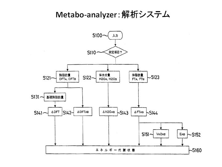 Instrument and Method for Analyzing Metabolic Condition of Living Body and Recording Medium