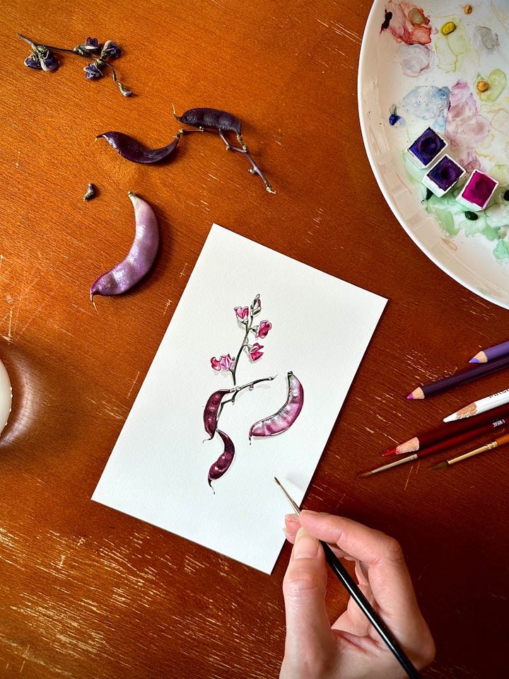 images of 4 mini paintings from top right- gardenia flowers, a gingko leaf, ruby moon hyacinth beans and fairytale eggplant