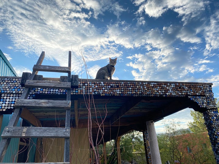 Four images: purple mountains with a tinge of sunset color below a blue sky, a tabby cat voguing on top of a fence post, four chickens in a coop and three eggs in a hand, and a real good kitty on top of an awning like a tiny god with clouds behind her