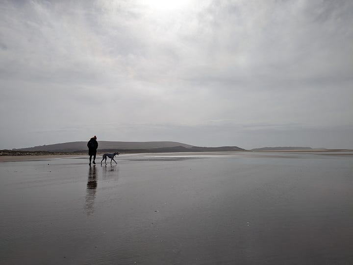 walk hike gower wales