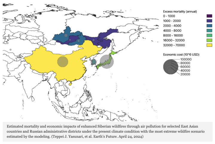 Modeling Broader Effects of Wildfires in Siberia