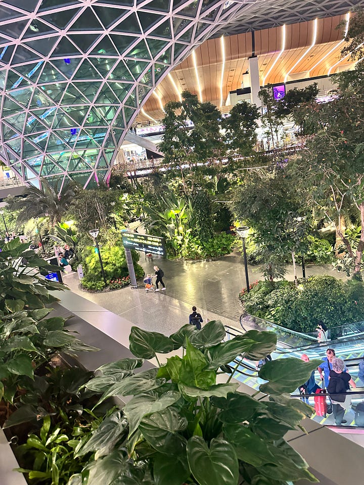 botanical gardens inside Hamad International Airport