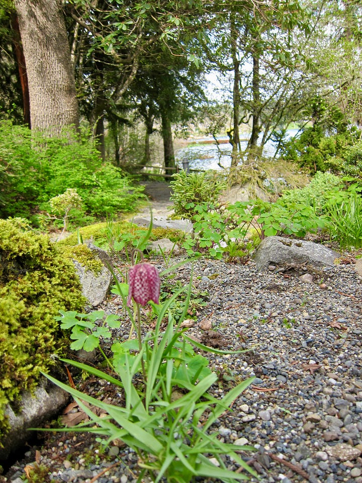 Several pictures near the edge of the lake with paths through rhododendrons and docks visible on the water.