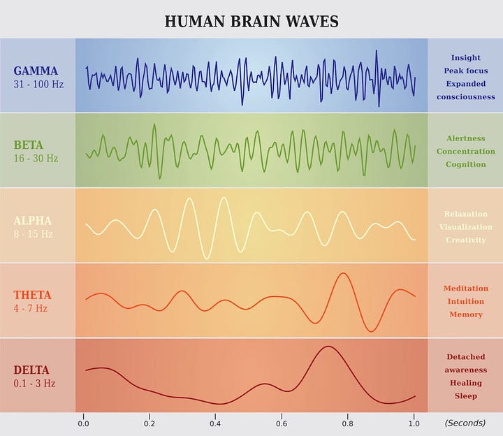 Brain and Schumann resonance (Hz)