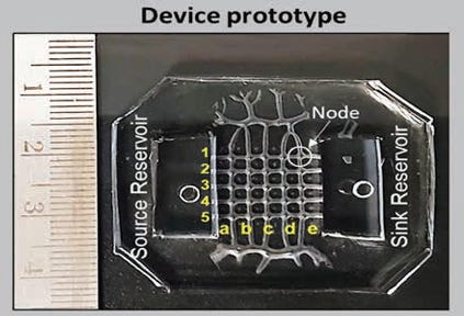 Frugal Microfluidic Device for Drug Screening and Testing