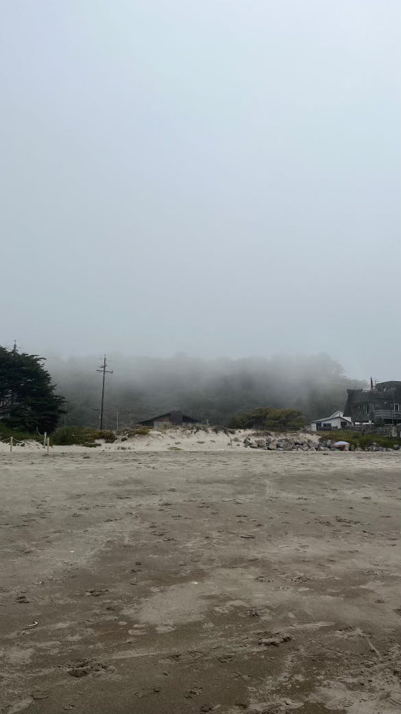 Cloudy view of a sandy shore; a screenshot from Notes