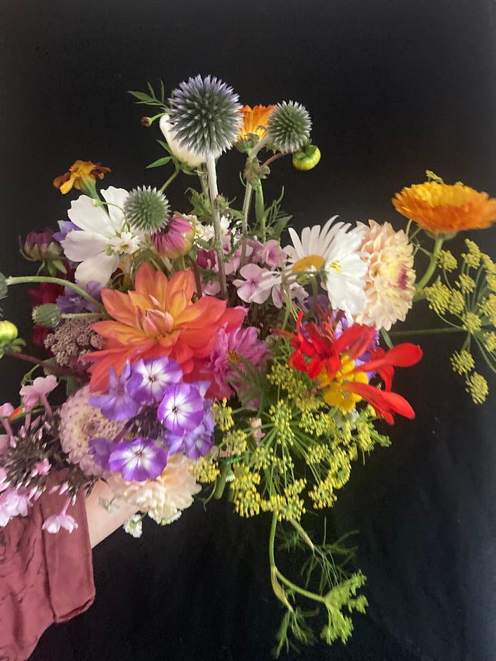 Brides bouquet with cosmos and daisies, colourful seasonal bouquet.