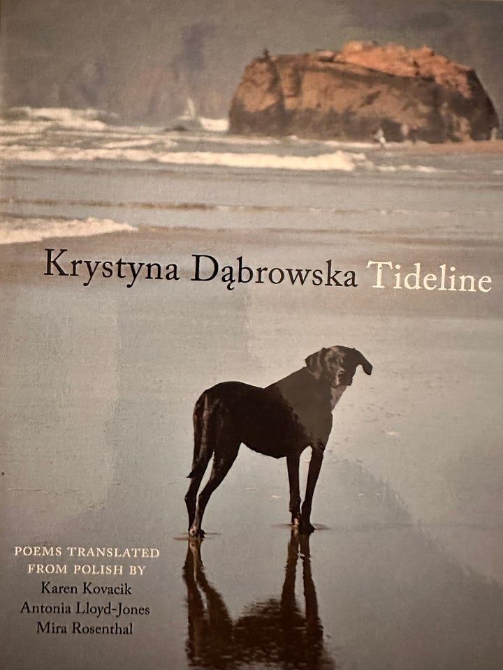 The poem 'Sleepless poem' from Krystyna Dąbrowska's Tideline tr. by Antonia Lloyd-Jones, Mira Rosenthal, Karen Kovacik