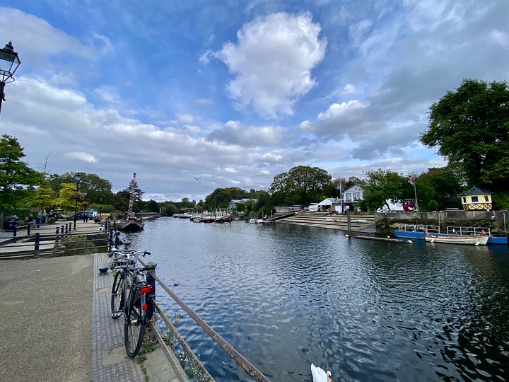 The river Thames inTwickenham