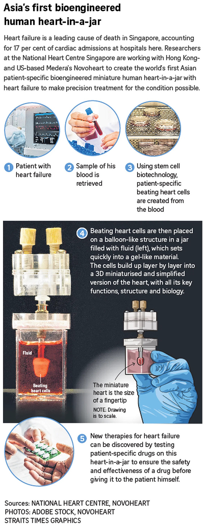 Heart-in-a-Jar: Singapore to Bioengineer Asian Mini Models of Failed Hearts to Test Drugs