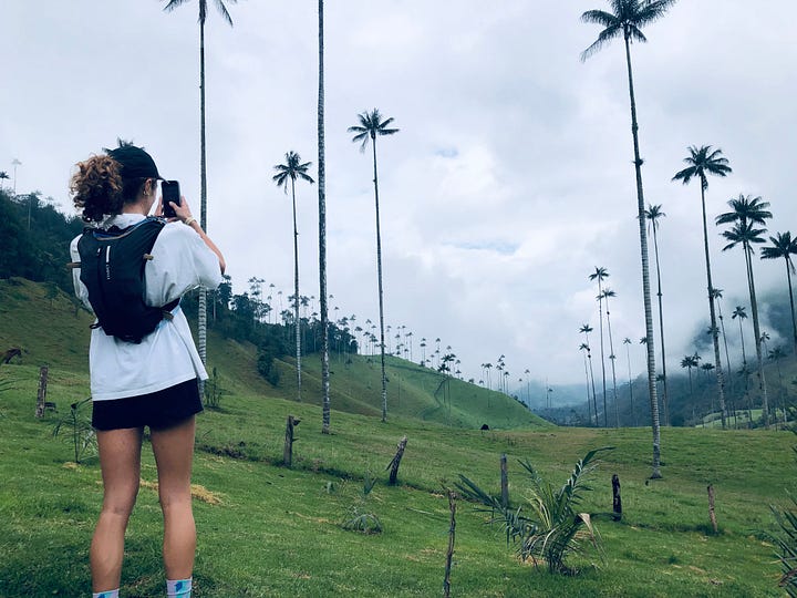 Cocora Valley and the cloud forest.