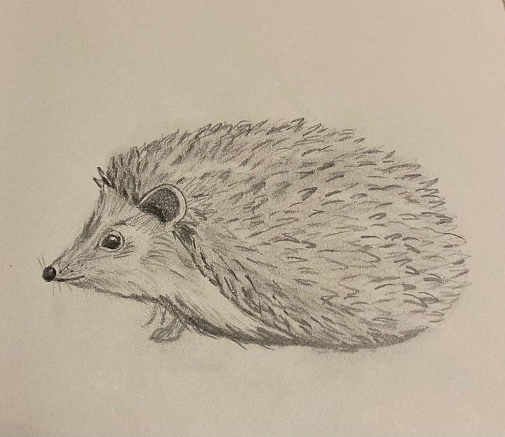 Hand-drawn sketches of a little boy, a sleeping toddler, a toad, a hedgehog, a bunny, a bear cub, and a fox