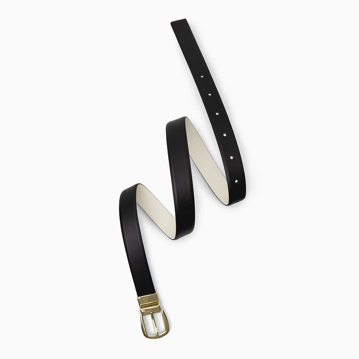 reversible belt