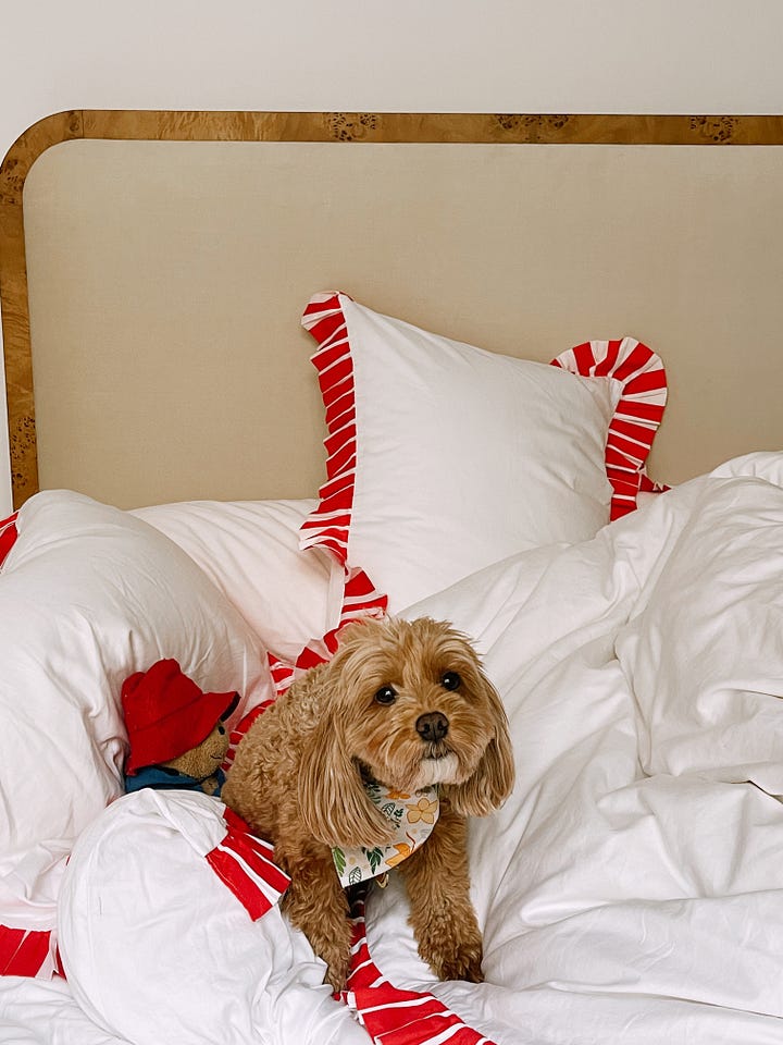 Sukun Red and White Candy Cane Bedding Set