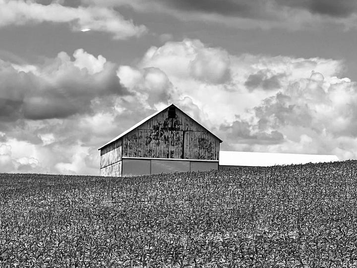 Rustic Barns