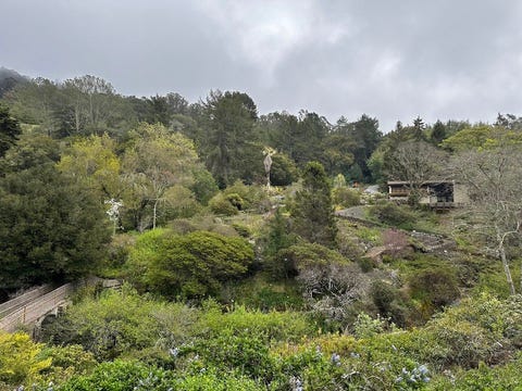 The Ruth Bancroft Garden is the first to be preserved by The Garden Conservancy: "Our very first preservation garden, located in Walnut Creek, in California’s Ygnacio Valley, the Ruth Bancroft Garden is recognized as one of America's finest examples of a dry garden. It features a variety of rare and extraordinary succulents and cacti." 