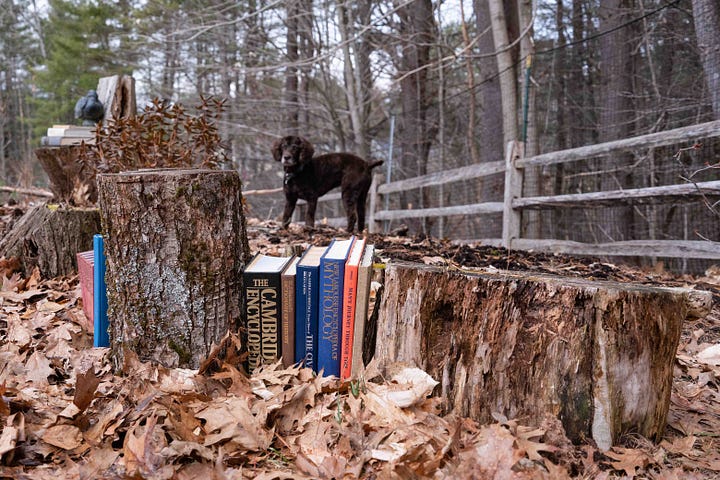 reference books, decomposing books, compost,mildew, mold,faithful dog