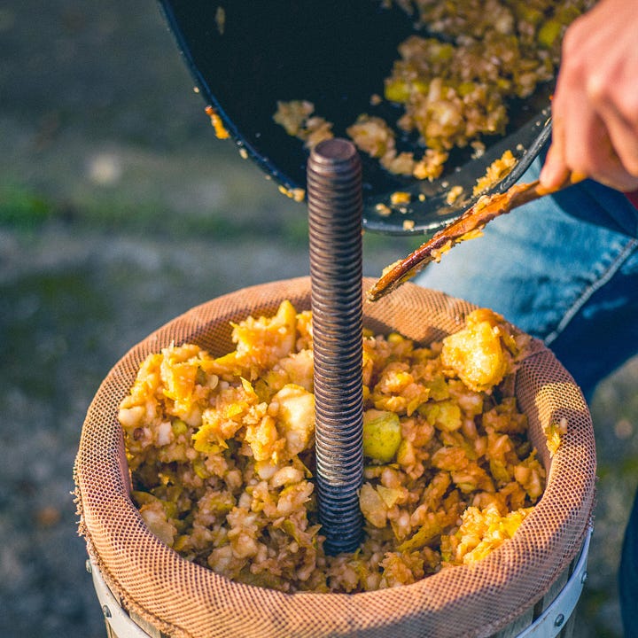 Loading a hand cranked apple press and collecting juice