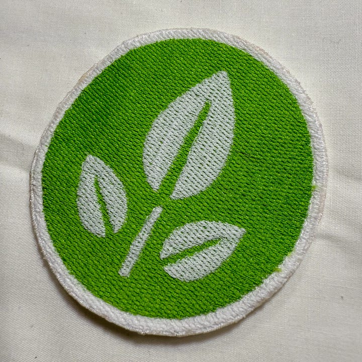 Lime green and white patch of a plant