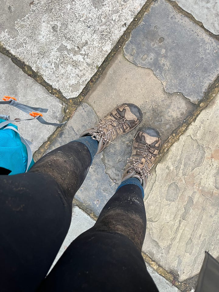 1. The newly sorted long path at the back of the annual veg area; 2. Super mucky knees after a day rolling around on the ground.