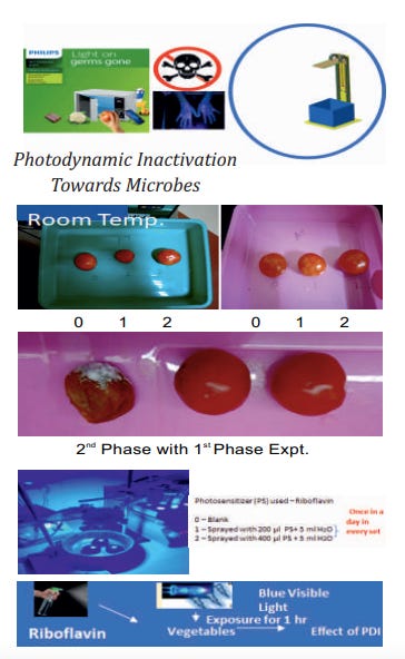An Alternative To Cold Storages - Development of a Portable Kit for Visible Light Photo Dynamic Inactivation of Microbes on Food Surfaces from Ultraviolet towards Visible Light