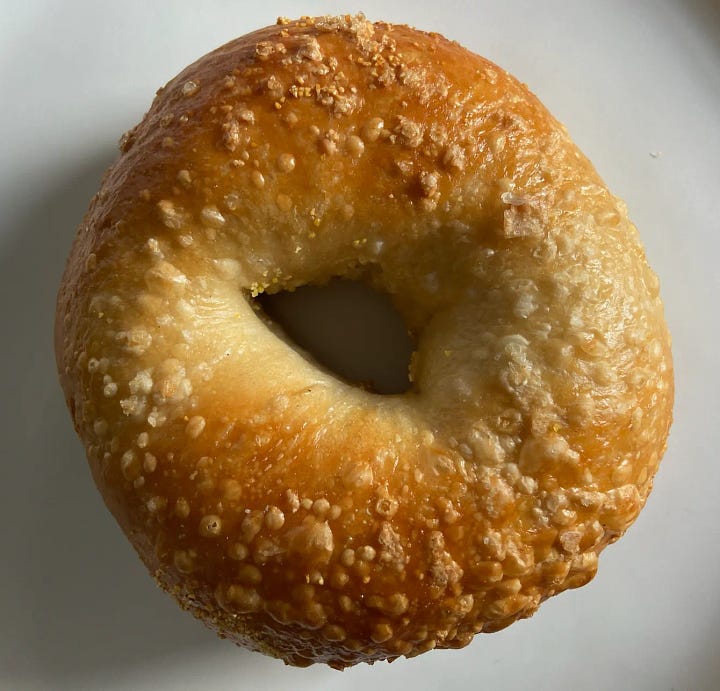 Plain bagel in June 2023 vs. Plain bagel in October 2022