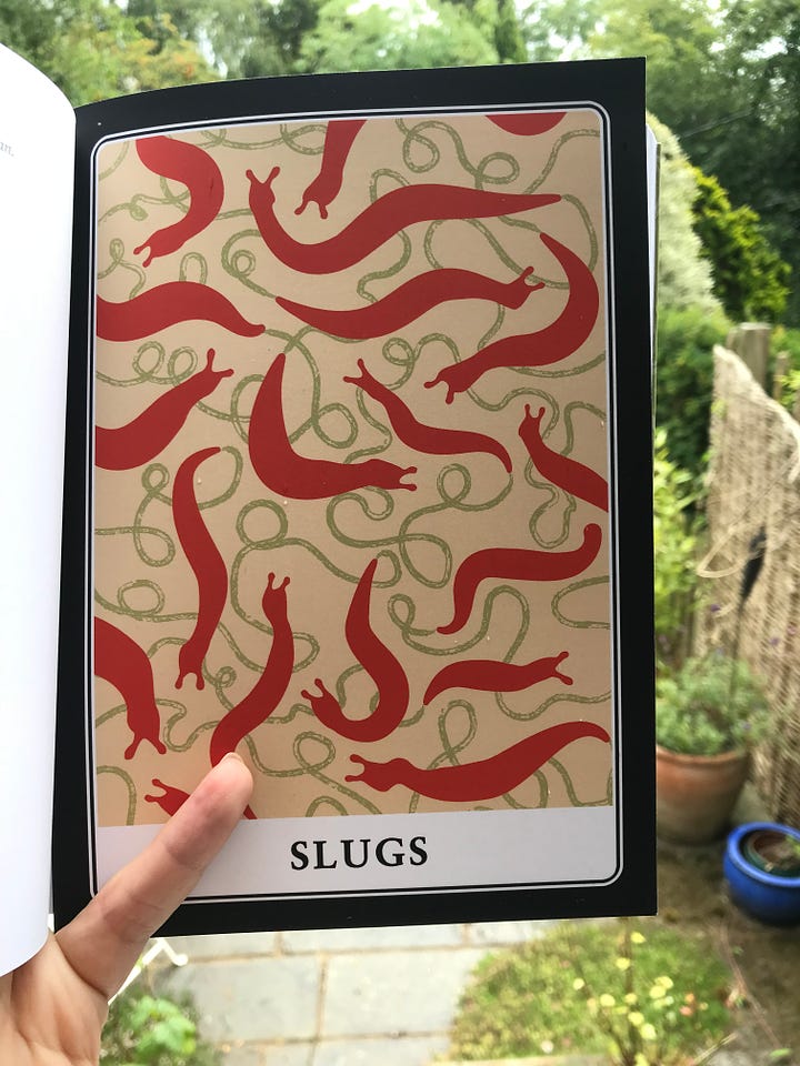 images of the book cover to Slugs: A Manifesto and poster included - illustrations of orange, khaki and green-brown of slug shapes and slime trails