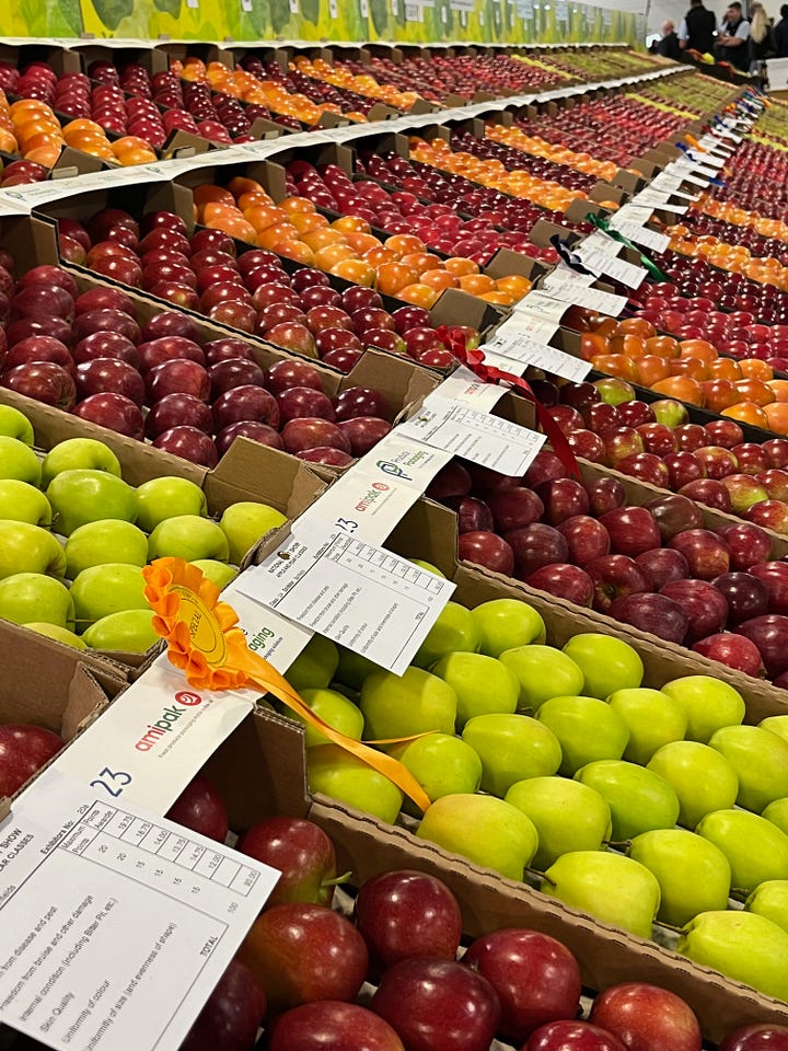 Tables of shiny red apples alongside cups and medals for the winners