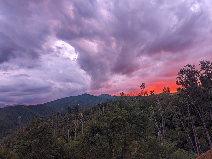 A collection of photos taken while completing the Cove Mountain Laurel Falls loop trail, with some photos featuring interesting sights (rocks, trees, and flora) indicated along the way.
