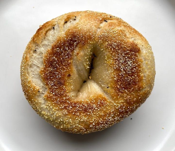 Bottom of the plain bagel and everything bagel