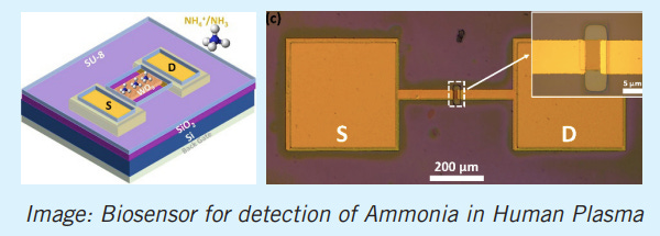 Field-Effect Transistor Device for the Detection of Dissolved Ammonia in Plasma