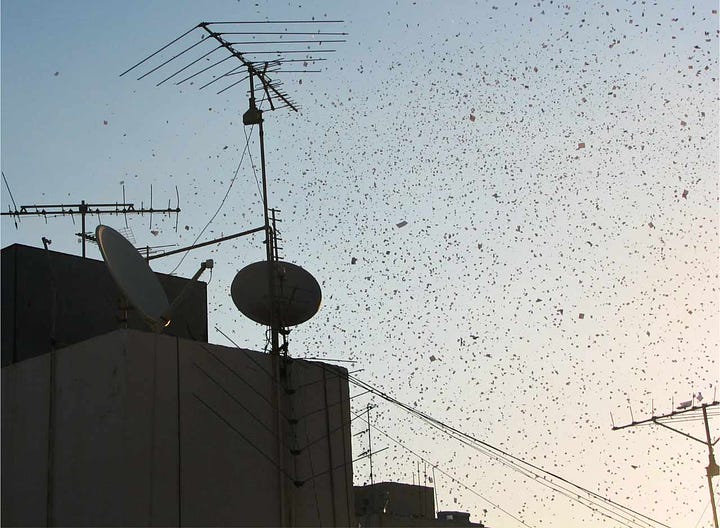 View from roof of Mayflower Hotel in Beirut of leaflets falling in Hamra during 2006 Lebanon War depicting Hezbollah building a castle of sand