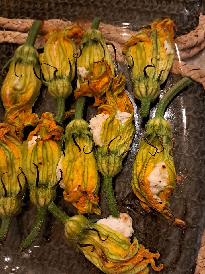 Stuffed courgette flowers