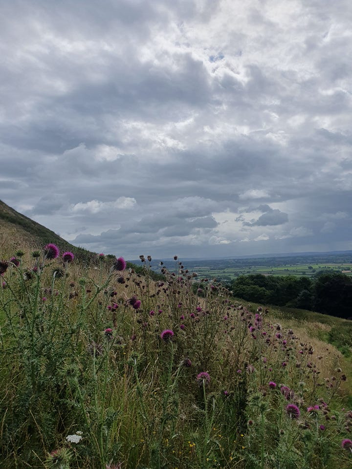 Summer in Lancashire and Glastonbury