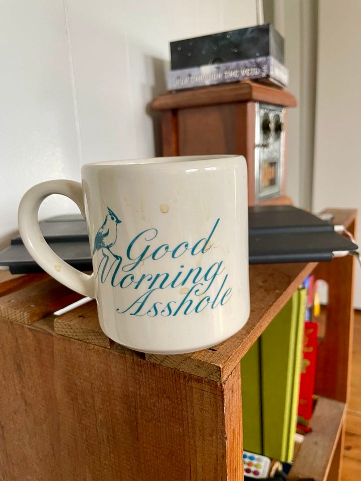 FIrst photo of Lyss watering a giant fern on their porch. Second photo of four people holding four different flowers. Third photo of a coffee cup that says "Good Morning Asshole." Fourth photo of a photo by starparkdesigns that says "you will not heal by going back to what broke you" and then a Meta fact check warning that says "False information: Reviewed by independent fact-checkers."