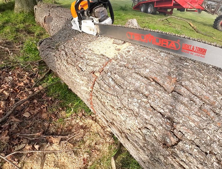 Biggest cross cut I've ever made. Cutting the log in half. I actually did measure twice and cut once here.