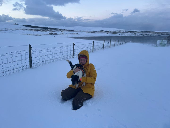 5 images of snowy Orkney. They all have a blue hue to them. Some have Kiki the dog in & one has Han & Kiki in