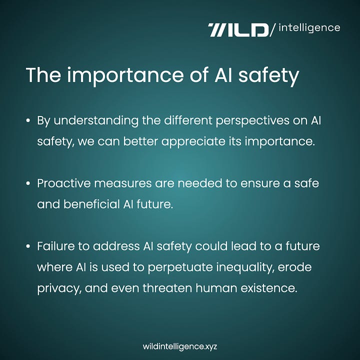 Foundations of AI safety | A Wild Intelligence’s exclusive series