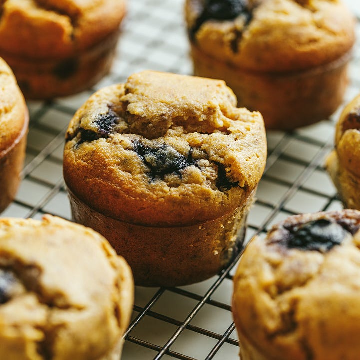 Four different protein-packed breakfasts.