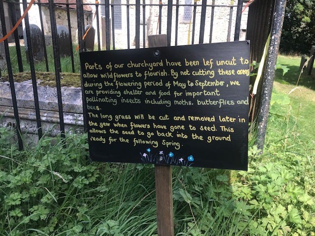 Churchyard signs in yellow text on a black background. These appear handwritten and chalked and explain the benefits of allowing wild flowers to flourish, providing food and shelter for insects and small animals. The wildflowers and shrubs are evident in the background.