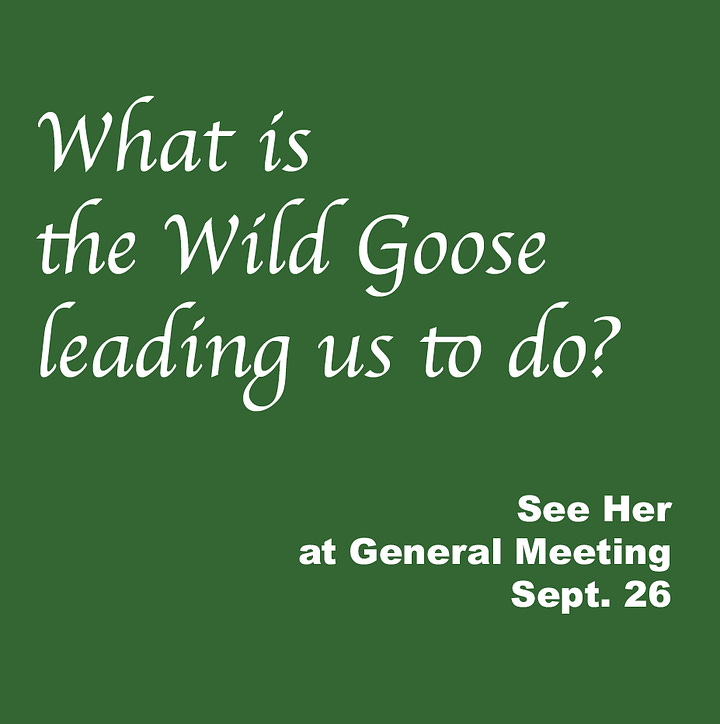 Photo of Debra with her quote "What is the Wild Goose leading us to do?" See her at General Meeting Sept. 26