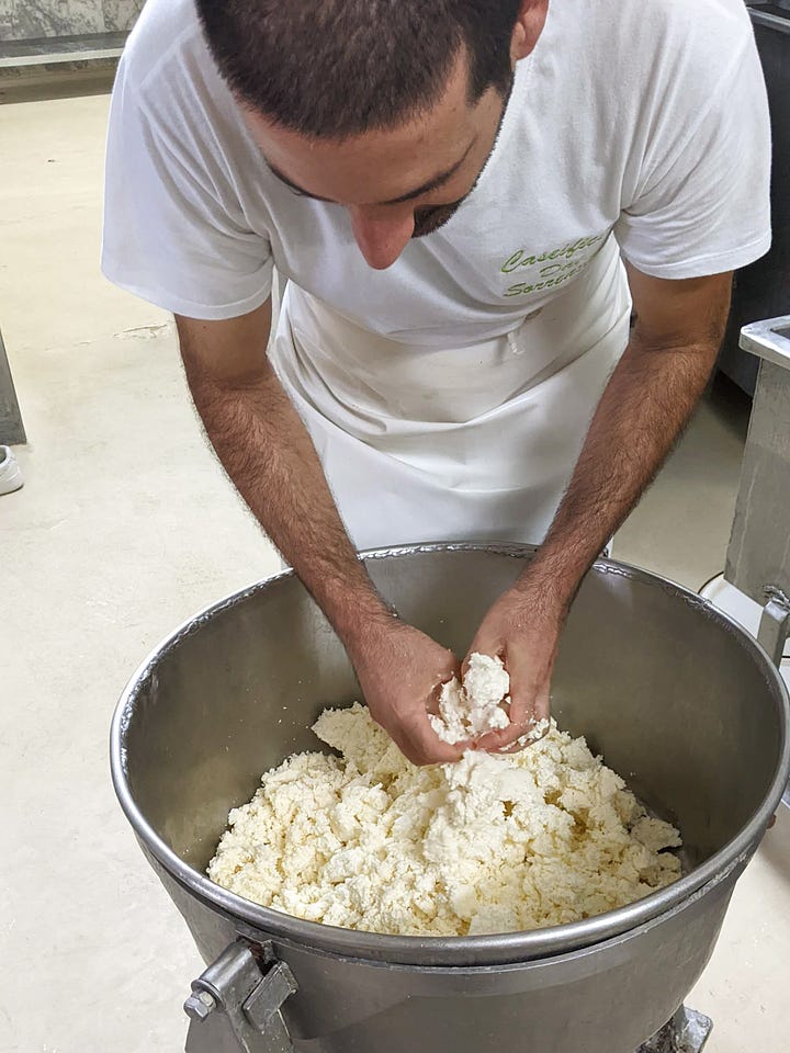 The best fresh ricotta!