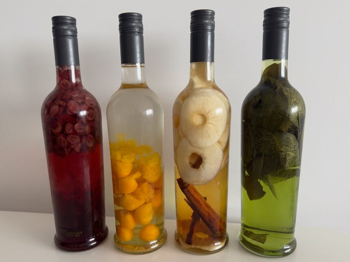 Photo shows four bottles of homemade pisco: cranberry (red), aguaymanto (orange), apple and cinnamon (yellow), and coca (green)